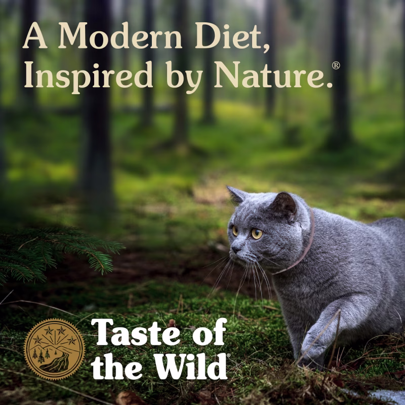 taste of the wild canyon river, felino en paisaje